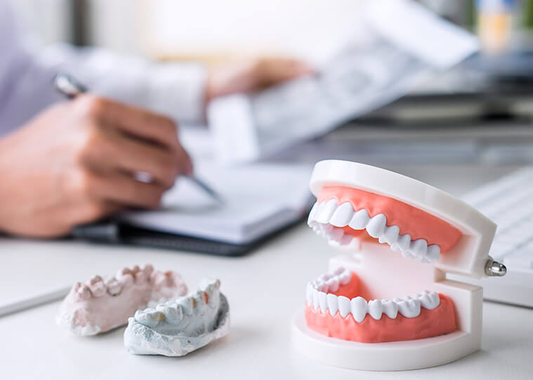 a model of teeth